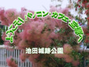 2025年7月