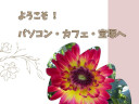 2025年9月